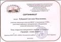 Сертификат участника районного методического объединения учителей начальных классов, 2016 год